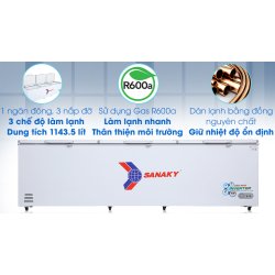Tủ đông Sanaky Inverter 1143.5 lít VH-1399HY3