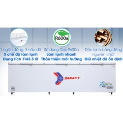 Tủ đông Sanaky Inverter 1143.5 lít VH-1399HY3