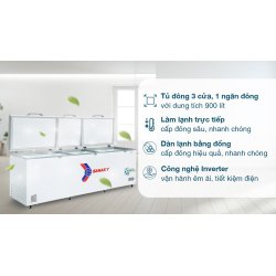 Tủ đông Sanaky Inverter 900 lít VH-1199HY3