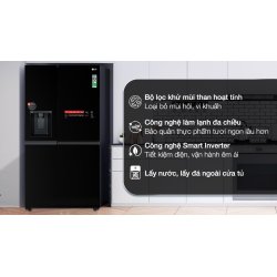 Tủ lạnh LG Inverter 635 lít Side By Side GR-D257WB