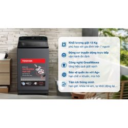 Máy giặt Toshiba Inverter 13 kg AW-T26D1400TV (MG) 2026