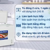 Tủ đông Hòa Phát 245 Lít HPF BD6245