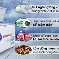 Tủ đông Sanaky 220 lít VH-2899W1