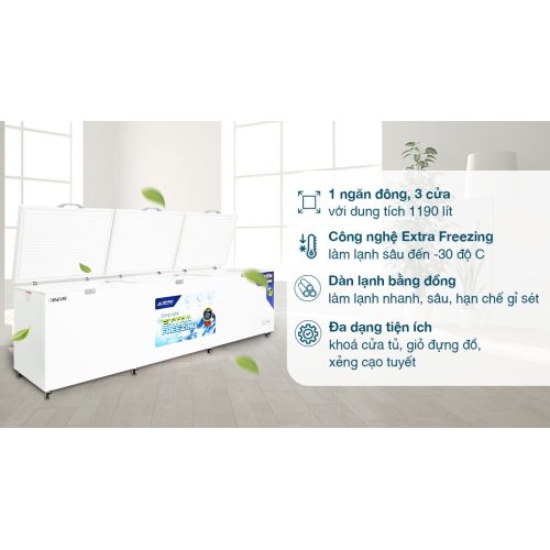Tủ đông Hòa Phát 1190 lít HPF AD61190 0