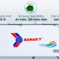 Tủ đông Sanaky 485 lít VH-6699W1