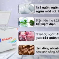 Tủ đông Sanaky 260 lít VH-3699W1