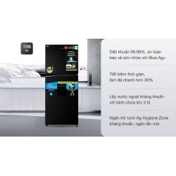 Tủ lạnh Panasonic Inverter 326 lít NR-TL351GPKV 0