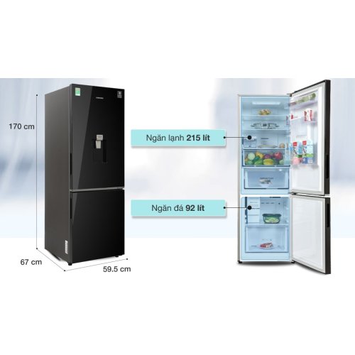 Tủ lạnh Samsung Inverter 307 lít RB30N4190BU/SV 2