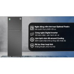 Tủ lạnh Samsung Inverter 305 lít RT31CG5424B1SV 0