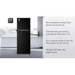 Tủ lạnh Samsung Inverter 236 lít RT22M4032BU/SV 0